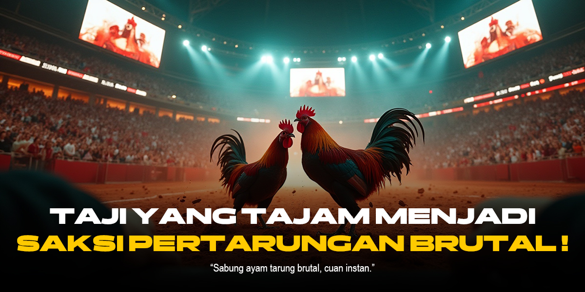 Mengungkap Keunikan Sabung Ayam SV388: Jenis Ayam, Odds, & Provider